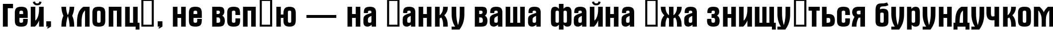 Пример написания шрифтом a_Alterna текста на украинском