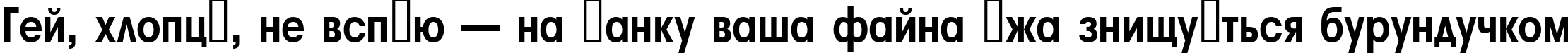 Пример написания шрифтом a_AvanteBsNr Bold текста на украинском