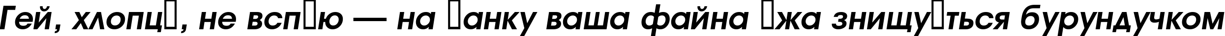 Пример написания шрифтом a_AvanteInt BoldItalic текста на украинском