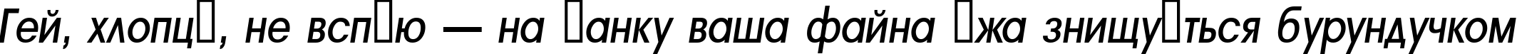 Пример написания шрифтом a_AvanteNrMedium Italic текста на украинском