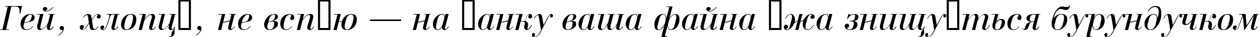 Пример написания шрифтом a_BodoniNova Italic текста на украинском