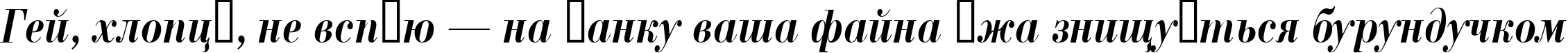Пример написания шрифтом a_BodoniNovaNr BoldItalic текста на украинском