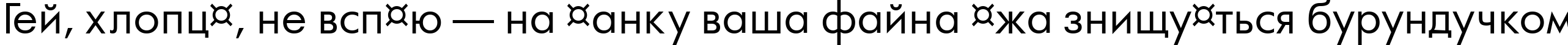 Пример написания шрифтом a_FuturaOrto текста на украинском