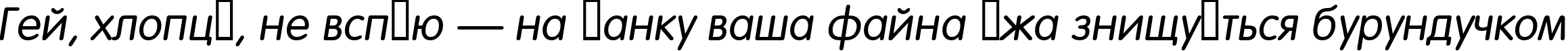 Пример написания шрифтом a_FuturaRound Italic текста на украинском