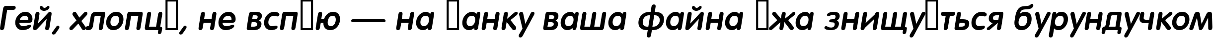 Пример написания шрифтом a_FuturaRoundDemi Italic текста на украинском