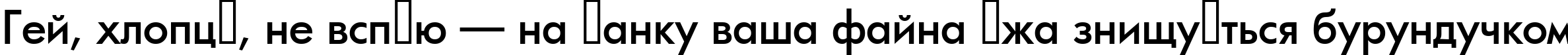 Пример написания шрифтом a_FuturicaMedium текста на украинском