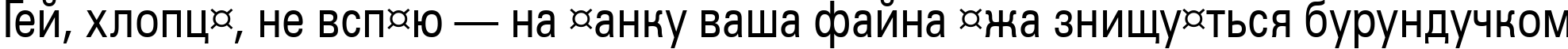 Пример написания шрифтом a_GroticNr текста на украинском