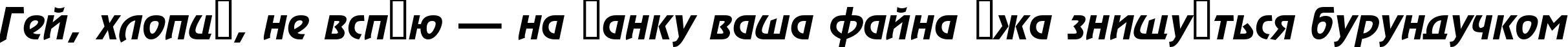 Пример написания шрифтом a_RewinderDemi Italic текста на украинском