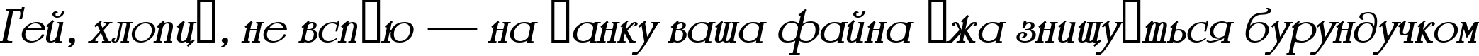 Пример написания шрифтом a_Romanus BoldItalic текста на украинском