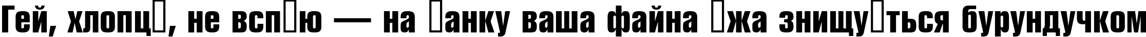 Пример написания шрифтом a_RubricaCn Bold текста на украинском