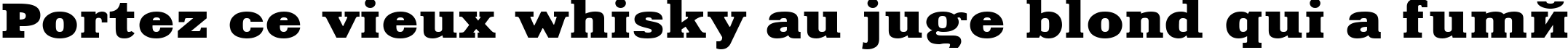 Пример написания шрифтом Aardvark110n текста на французском