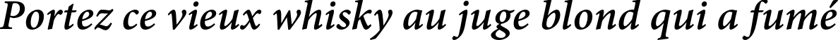 Пример написания шрифтом Adobe Devanagari Bold Italic текста на французском