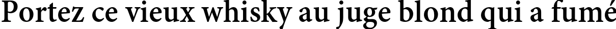 Пример написания шрифтом Adobe Gurmukhi Bold текста на французском