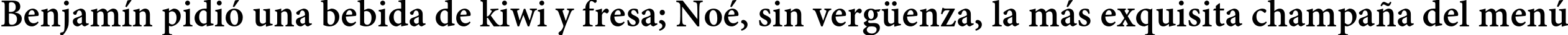 Пример написания шрифтом Adobe Gurmukhi Bold текста на испанском
