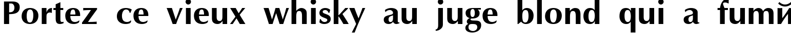 Пример написания шрифтом AGOptimaCyr Bold Bold текста на французском