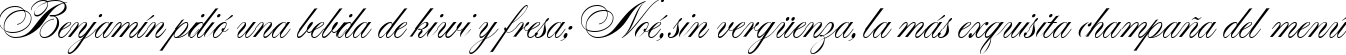 Пример написания шрифтом Alexandra Script текста на испанском