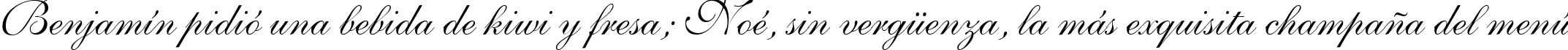 Пример написания шрифтом Allegretto Script Two текста на испанском