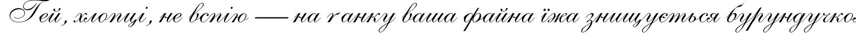 Пример написания шрифтом AllegroScript Italic текста на украинском