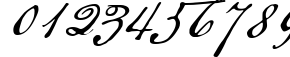 Пример написания цифр шрифтом American Scribe