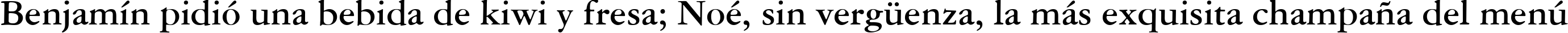 Пример написания шрифтом American Garamond Bold BT текста на испанском