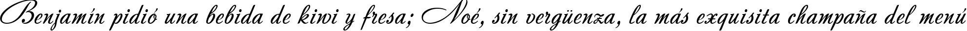 Пример написания шрифтом Andantino script текста на испанском