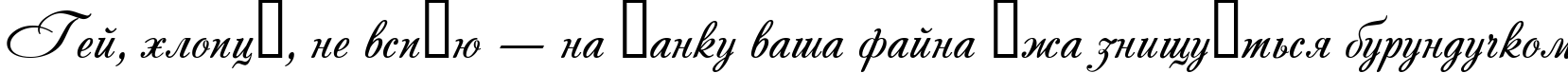 Пример написания шрифтом Andantino script текста на украинском