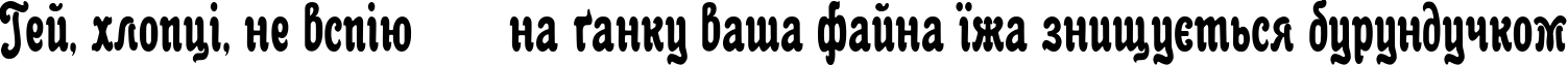 Пример написания шрифтом Anfisa Grotesk текста на украинском