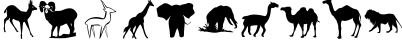 Пример написания цифр шрифтом Animals