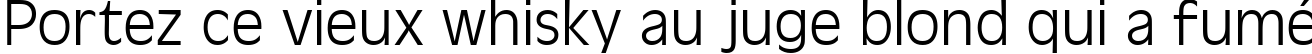 Пример написания шрифтом Antigoni Light текста на французском