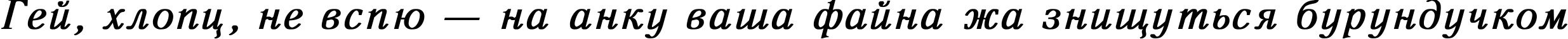 Пример написания шрифтом Antiqua Bold Italic текста на украинском