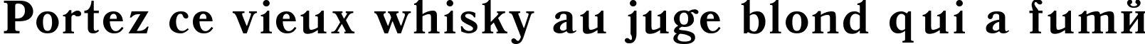 Пример написания шрифтом Antiqua-Bold текста на французском