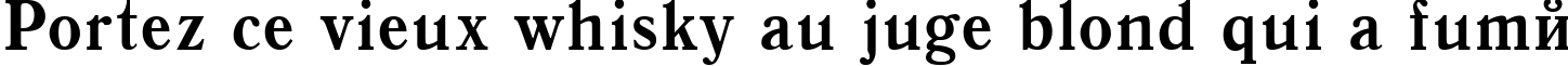 Пример написания шрифтом Antiqua-Bold90b текста на французском