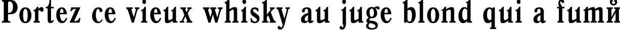 Пример написания шрифтом Antiqua Bold75b текста на французском