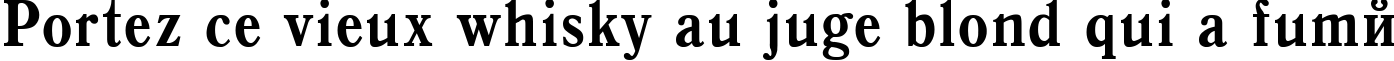 Пример написания шрифтом Antiqua Bold85b текста на французском
