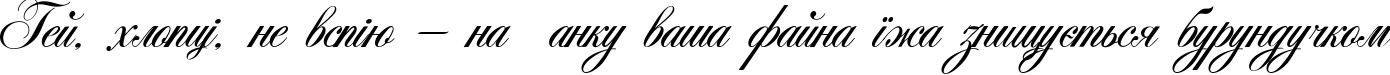 Пример написания шрифтом Antonella script текста на украинском