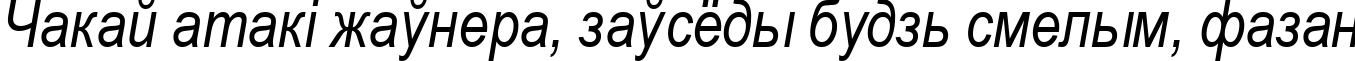 Пример написания шрифтом Ariac  Italic текста на белорусском