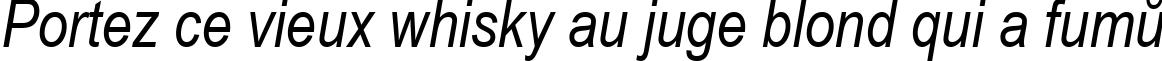 Пример написания шрифтом Ariac  Italic текста на французском