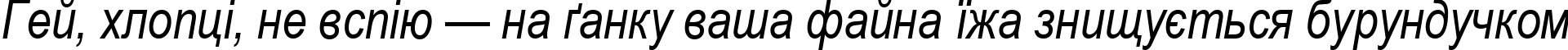 Пример написания шрифтом Ariac  Italic текста на украинском