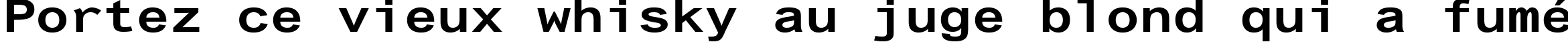 Пример написания шрифтом Arial Alternative Regular текста на французском