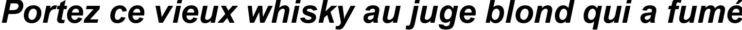 Пример написания шрифтом Arial CE Bold Italic текста на французском