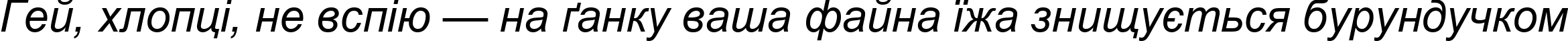 Пример написания шрифтом Arial Cyr Italic текста на украинском