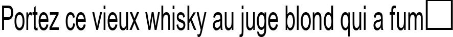 Пример написания шрифтом Arial Cyr60 текста на французском