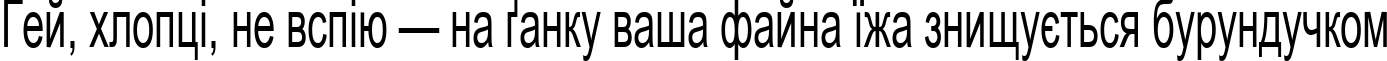 Пример написания шрифтом Arial Cyr60 текста на украинском