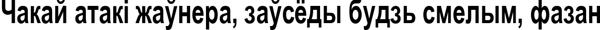 Пример написания шрифтом Arial Cyr70b текста на белорусском