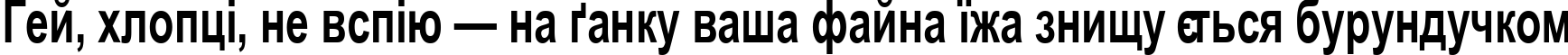 Пример написания шрифтом Arial Cyr70b текста на украинском