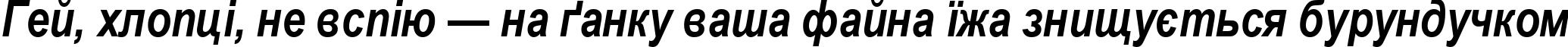 Пример написания шрифтом Arial Narrow Bold Italic текста на украинском