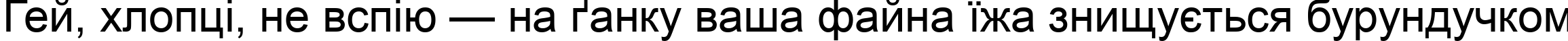 Пример написания шрифтом Arial текста на украинском