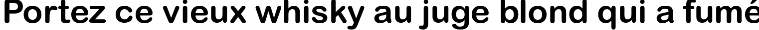 Пример написания шрифтом Arial Rounded MT Bold текста на французском
