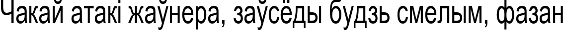 Пример написания шрифтом Arial70n текста на белорусском
