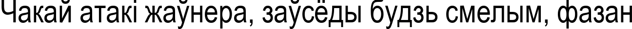 Пример написания шрифтом Arial80n текста на белорусском
